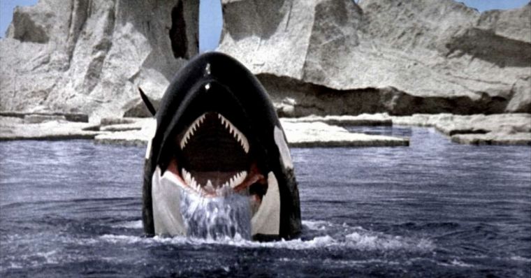 دانلود فیلم نهنگ قاتل Orca با پخش آنلاین و دوبله فارسی