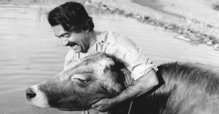 دانلود فیلم گاو The Cow با پخش آنلاین و دوبله فارسی